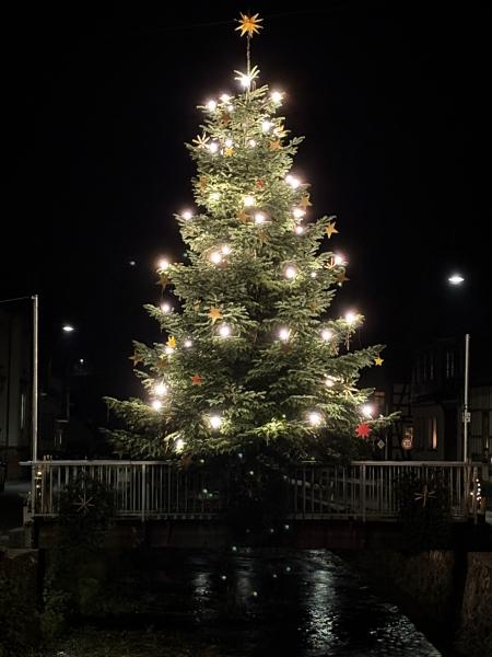 Weihnachtsbaum 2025